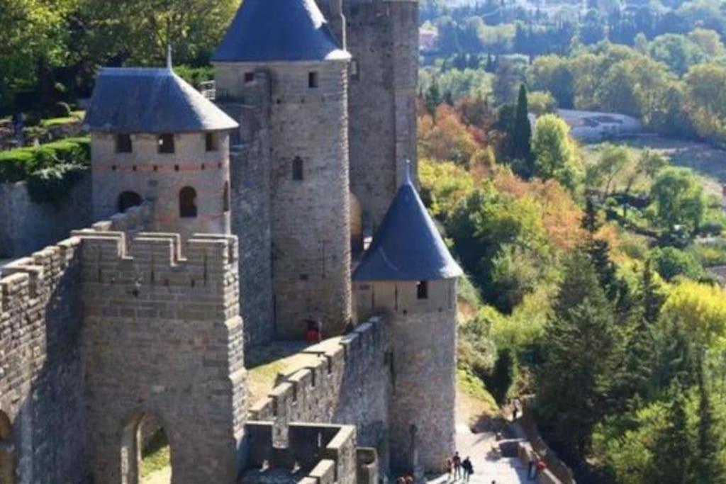 Ferienwohnung Dame Carcas Carcassonne Exterior foto